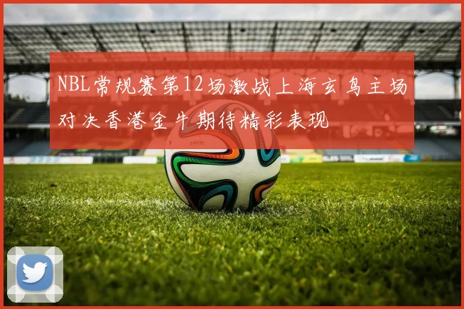 NBL常规赛第12场激战上海玄鸟主场对决香港金牛期待精彩表现