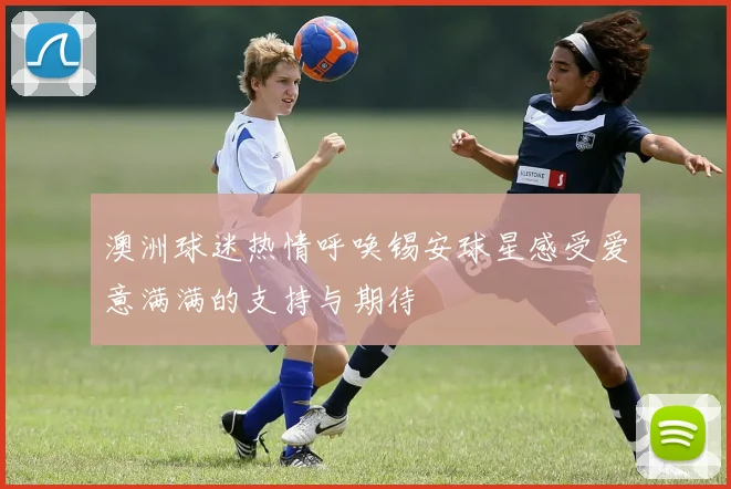 澳洲球迷热情呼唤锡安球星感受爱意满满的支持与期待
