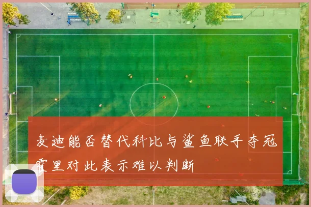 麦迪能否替代科比与鲨鱼联手夺冠霍里对此表示难以判断