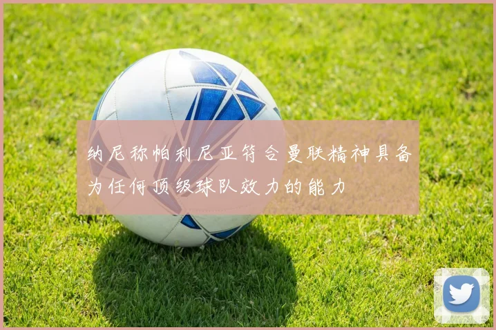 纳尼称帕利尼亚符合曼联精神具备为任何顶级球队效力的能力