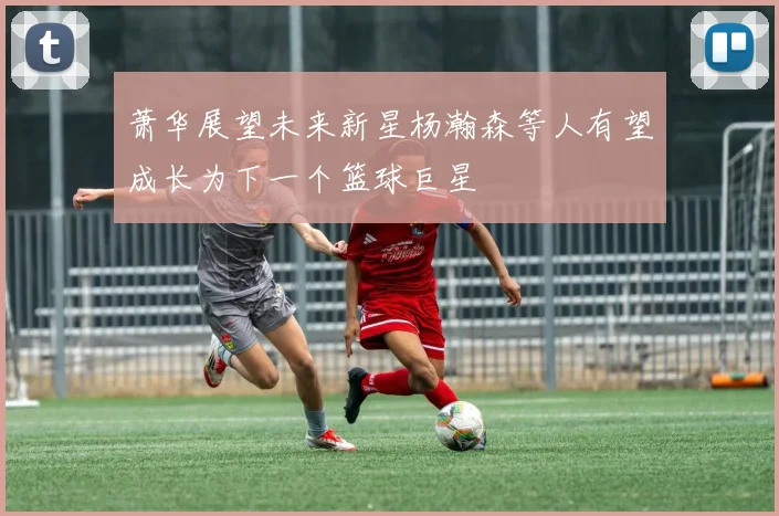 萧华展望未来新星杨瀚森等人有望成长为下一个篮球巨星