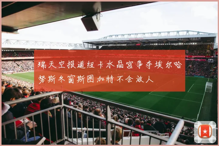 瑞天空报道纽卡水晶宫争夺埃尔哈努斯冬窗斯图加特不会放人