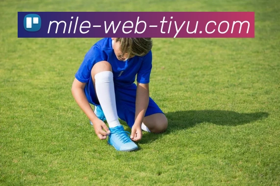 米乐体育平台生态图