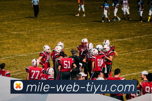 米乐体育APP 封面图